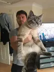 Angles make it look like I’m holding a giant cat