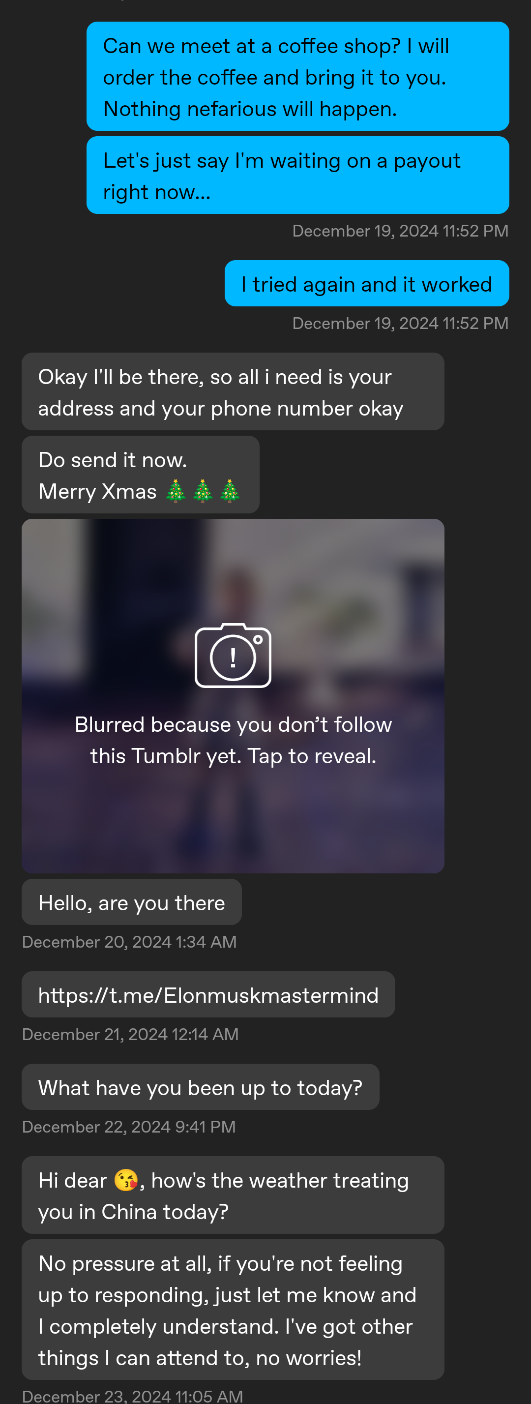 Scambaiting an Elon Musk romance scammer via chat messages and profile pictures