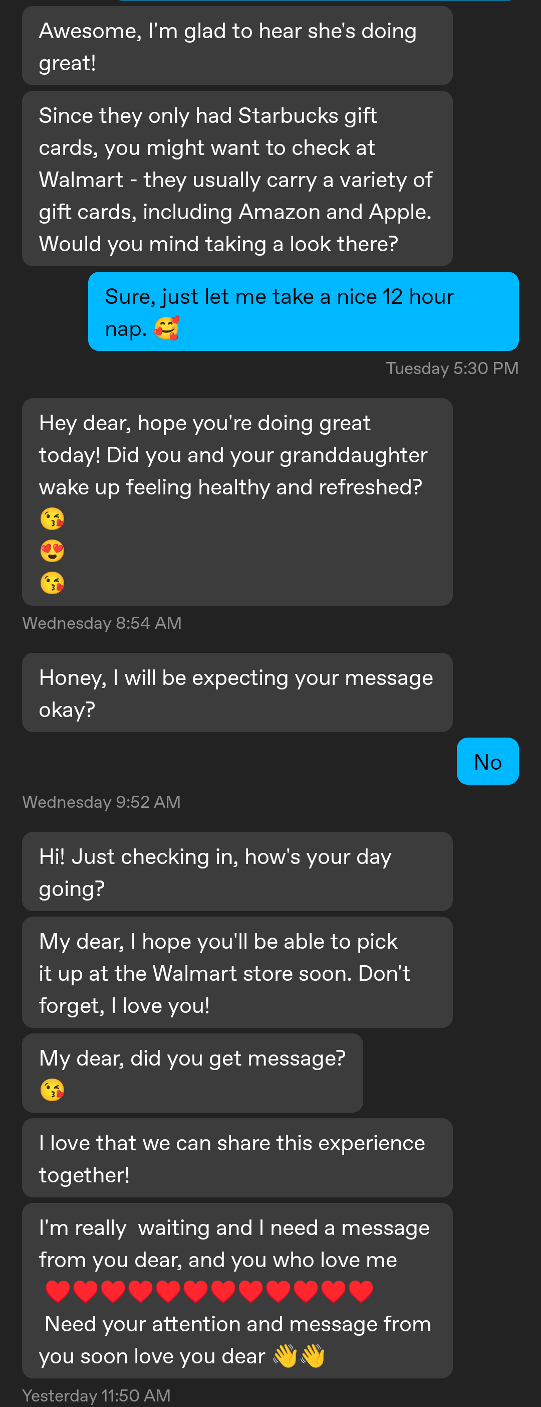 Scambaiting an Elon Musk romance scammer via chat messages and profile pictures