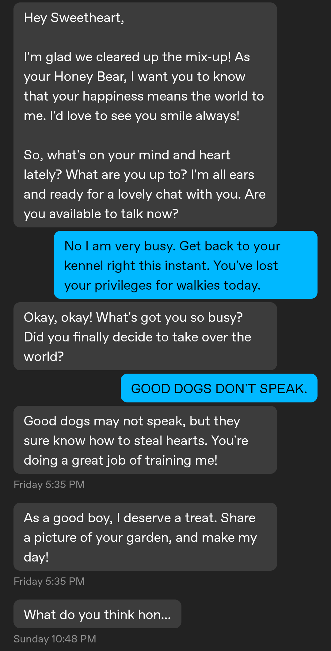 Scambaiting an Elon Musk romance scammer via chat messages and profile pictures