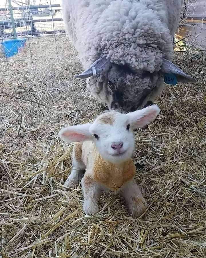 look at that cute smile