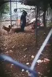 Watch this please.