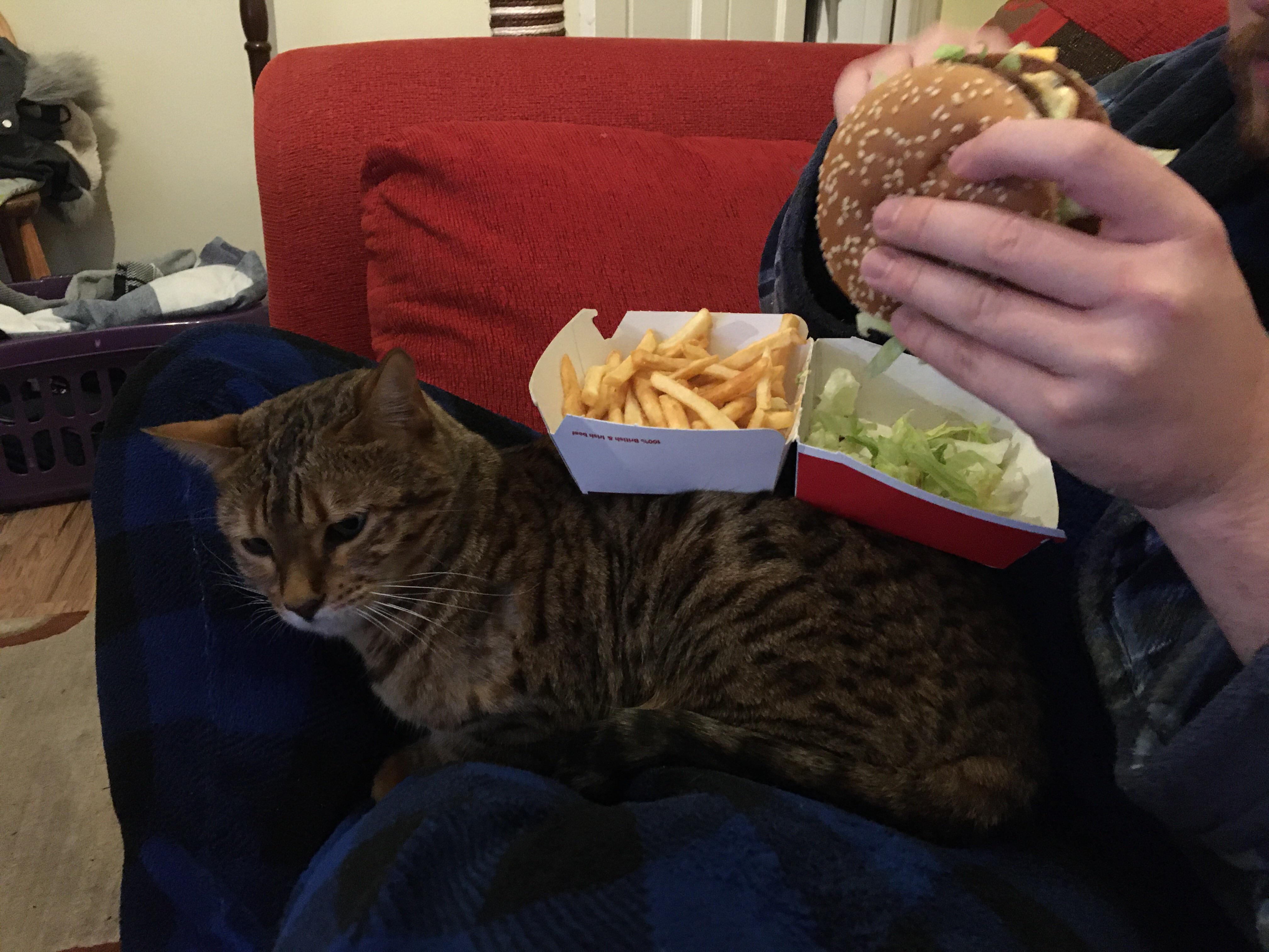 Burger and fries on the house