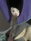 Baby Eddie (ft. Phoebe’s butt)