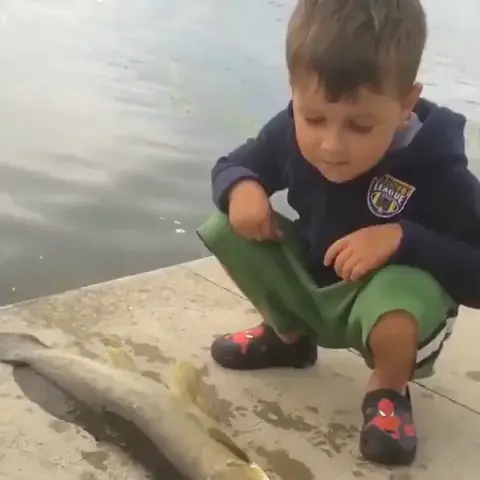Accidental Slapfish