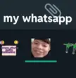 My whatsapp