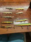 I got most of these rapalas from family, which ones should I use for bass, pike, or other fish and which ones should I set aside from my tackle box