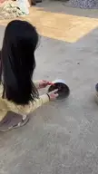 where will it land?