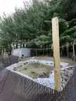 The temporary liner is in and the ducks are loving it 