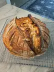 First time making sourdough! Too hot to cut. Will update!