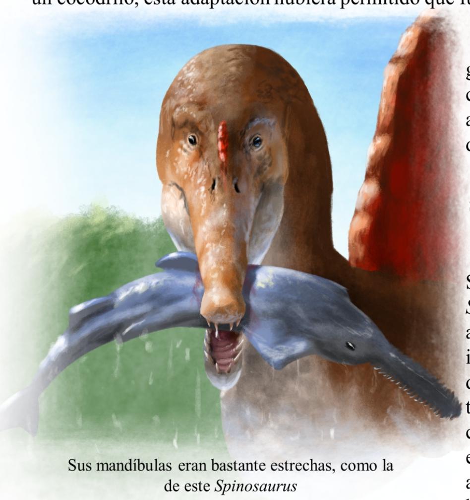 Front view of Spinosaurus (for my book)