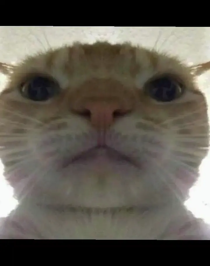 adhd subtypes be like 