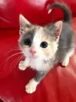 Adorable eyes