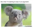 I can't lose