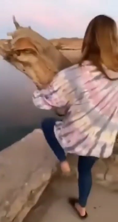 gifsthatendtoosoon