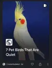 Did a cockatiel make this propaganda