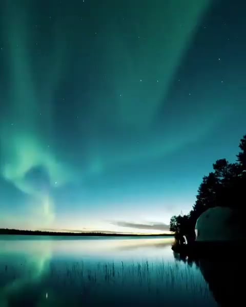 NiGHTS