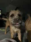 The lil boys tongue is never in his mouth