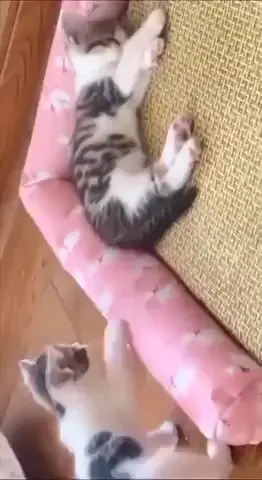 After a hearty lunch
