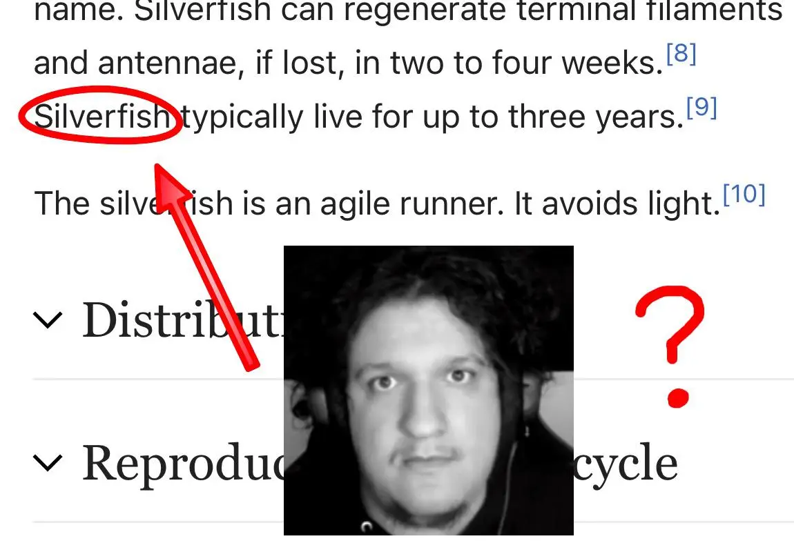 Agile Runners Hate Him Scrolller