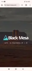 Ah yes, another troll site popped out, this time the bm logo turned into a blue triangle, what will be the next one? a green hexagon?
