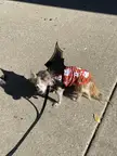 Am I a spooky boi?