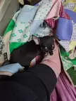Am I ever going to get my foot back at this point?