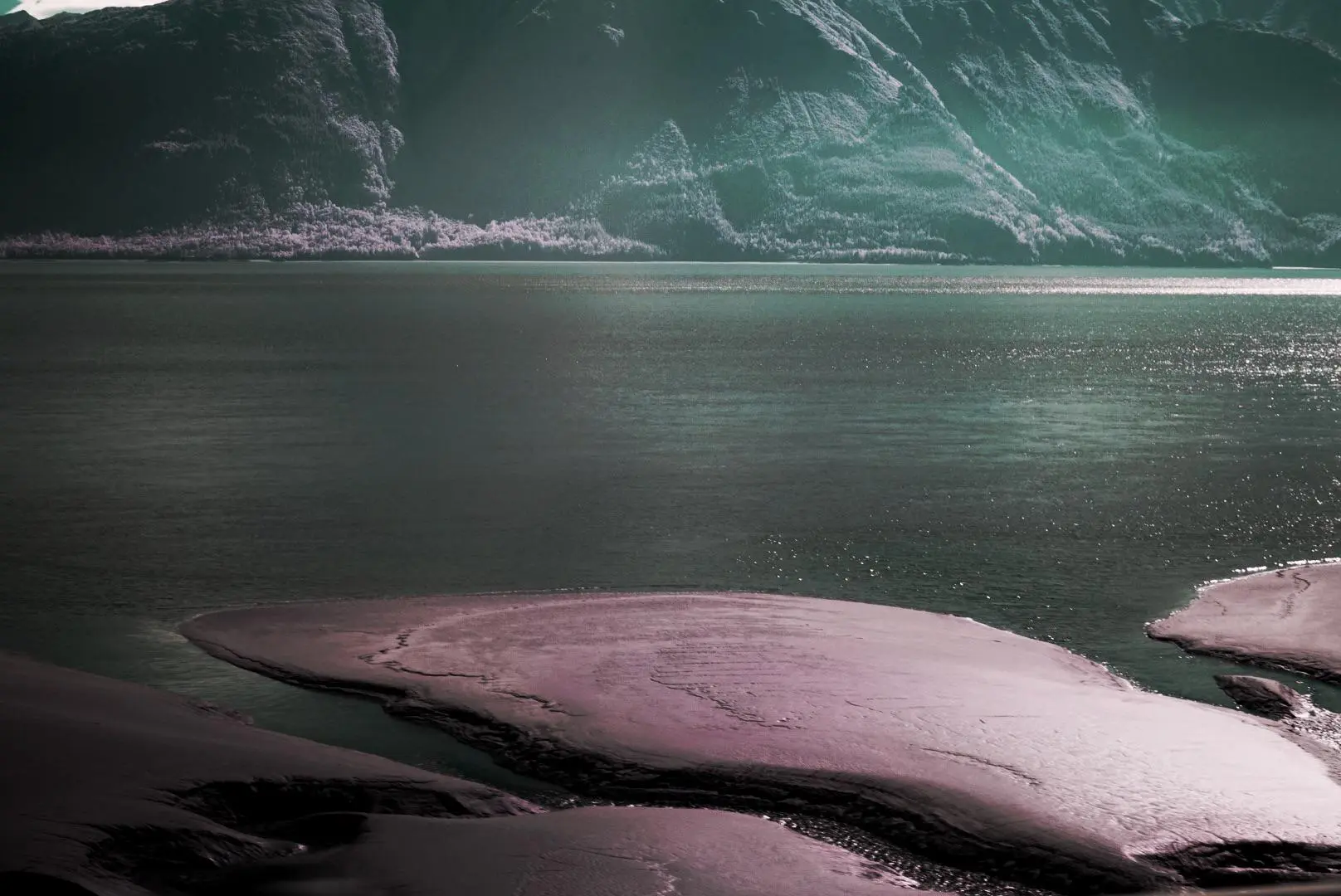 Anchorage Mudflats