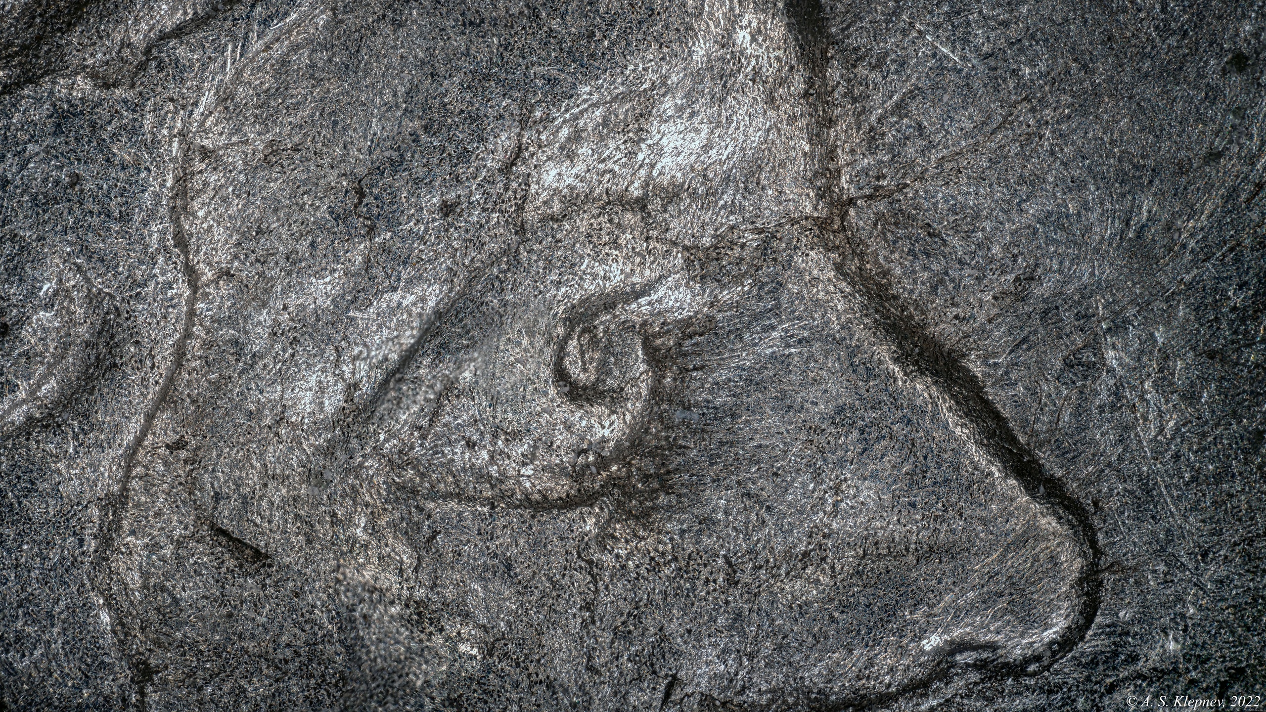 Ancient Roman silver coin under the microscope | Scrolller