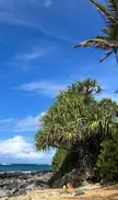Another day another beach in Hawaii 