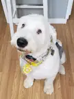 Anyone else have more pictures of their pets than kids? Is it just me?