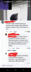 Apparently god is the reason why pugs naturally have breathing problems.