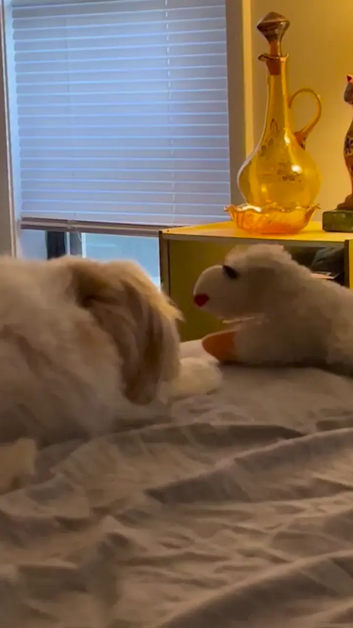 Apparently I got the wrong guy! 🫢