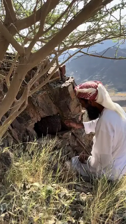 Arab beekeeper