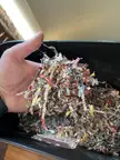 Are paper shreds this small too small to let my lil guy forage through/nest with?
