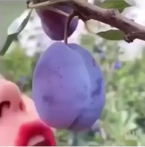 Are we getting snapped again?