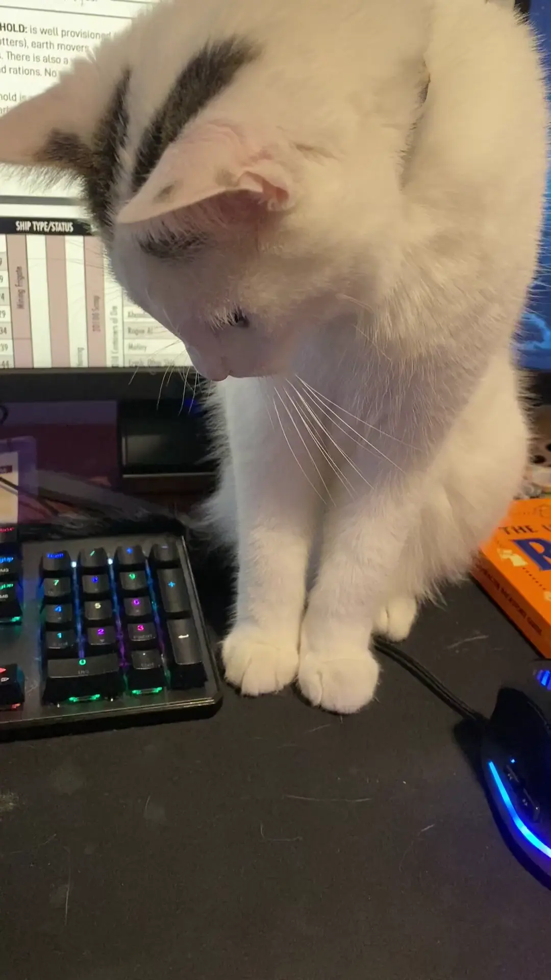 Assistant game master, Jack