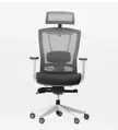 Autonomous ErgoChair Pro recommendations?