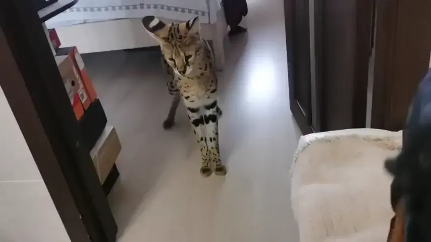 awwww lets be friends..