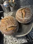 40% Whole Wheat Set