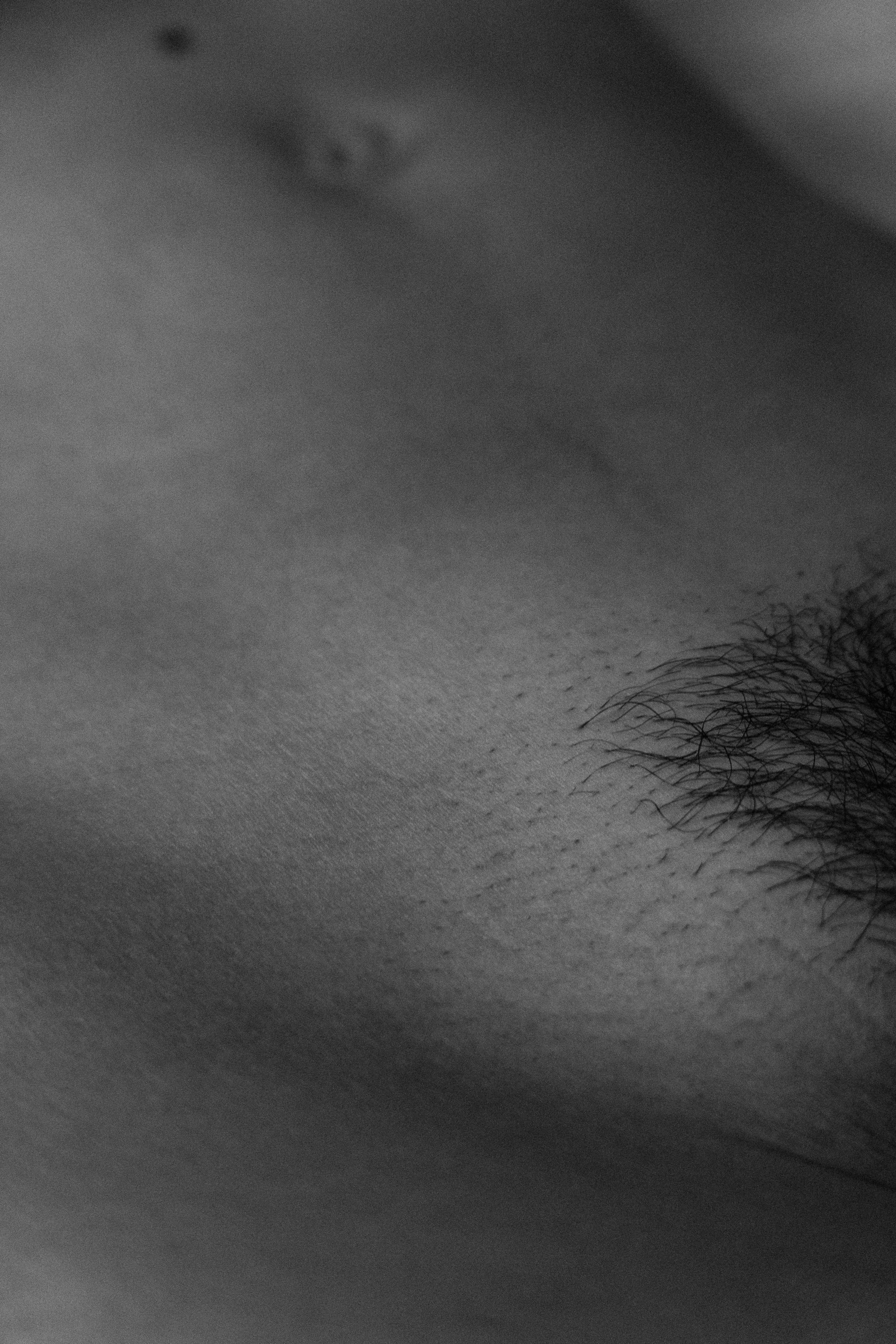 EroticButNotPorn