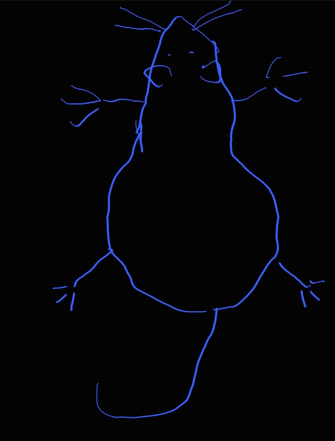 Why does my mouse look like this? (continued in comments)