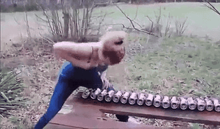 RedneckGifs