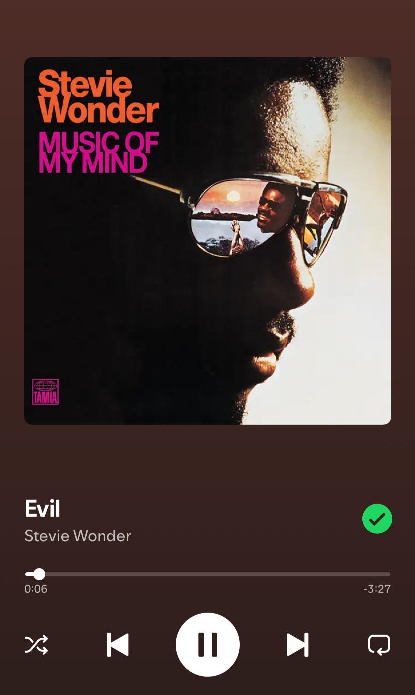 StevieWonder