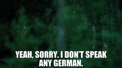 Why does Lalo go on vacation to Germany when he doesn't speak any German? Is he stupid?