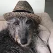 This is Storm and this hat looks like it was absolutely made for her!