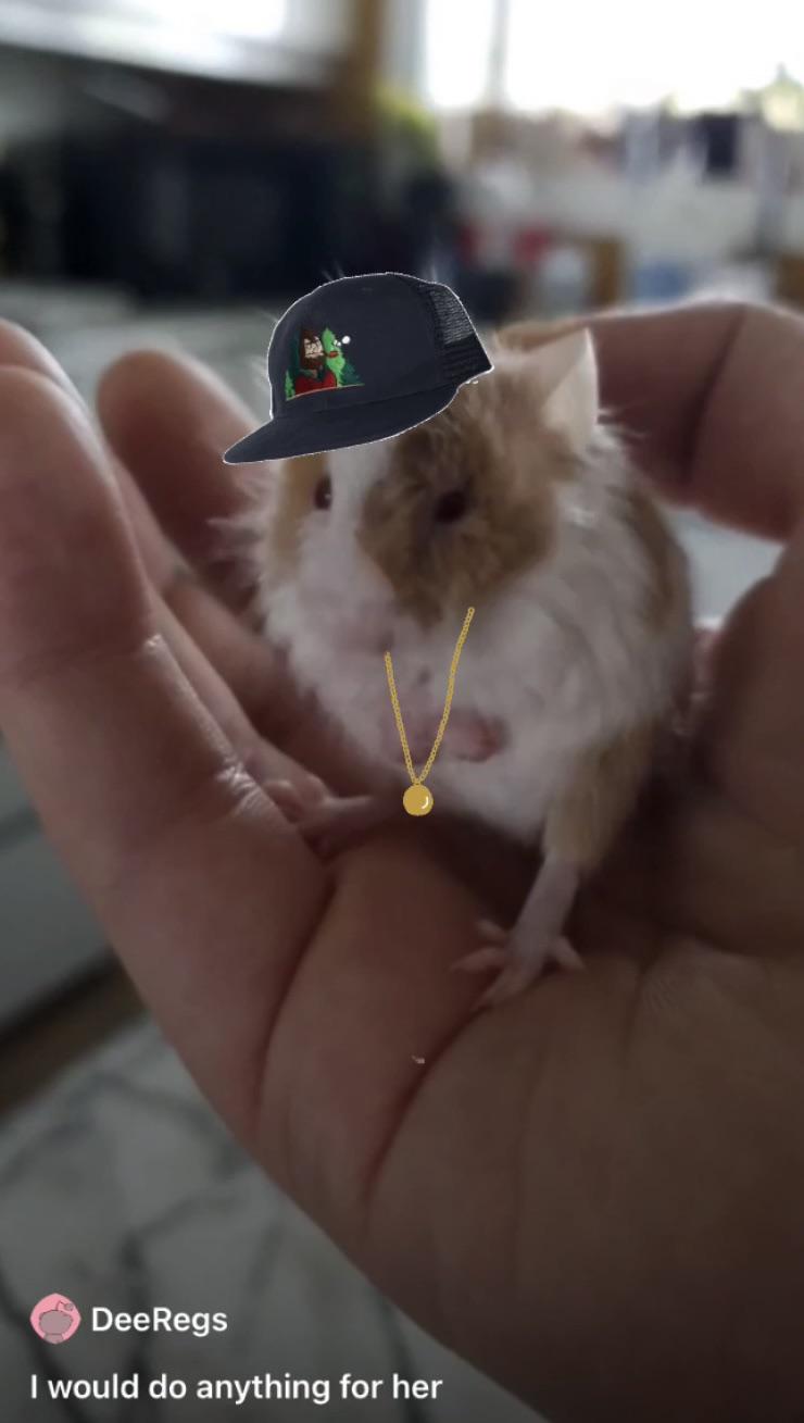 New rapper Lil’ Mouse | Scrolller