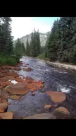 Frying Pan River in Basalt, Co. [OC] [1080x1920]