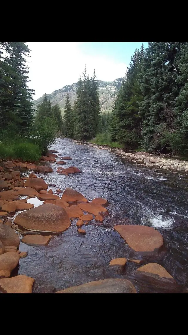 Frying Pan River in Basalt, Co. [OC] [1080x1920] | Scrolller