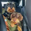 so cute the two of them😍